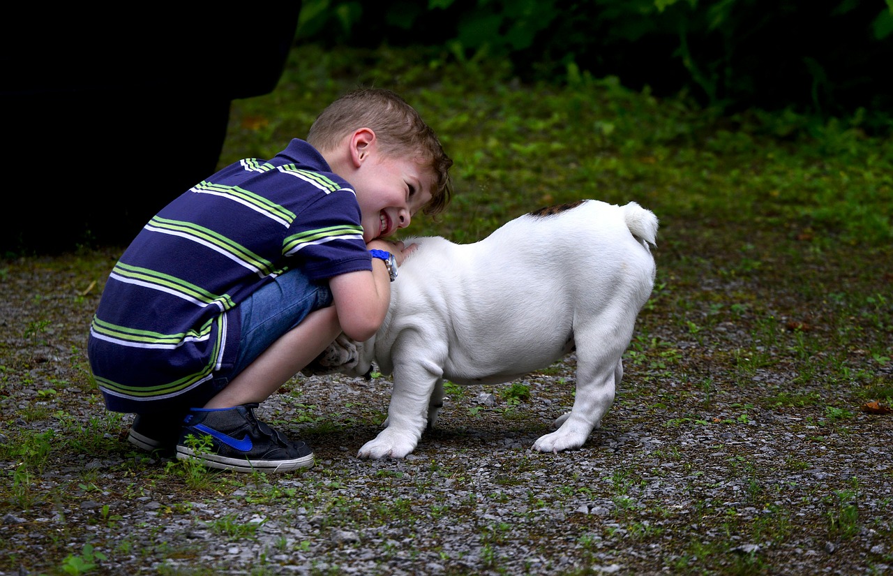 Chien et enfant : 10 conseils pour éviter les risques